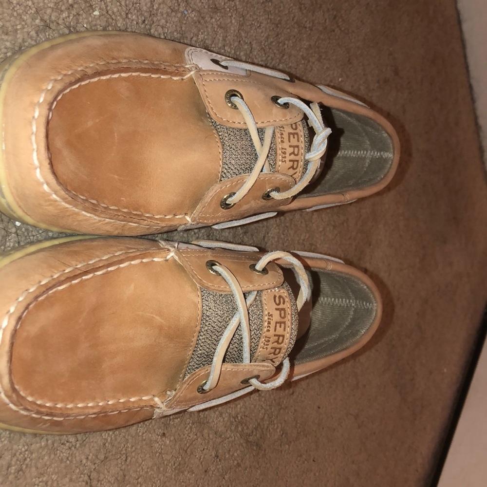 Sperry